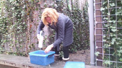 Eline voert de mussen in de tuin van de yogaschool